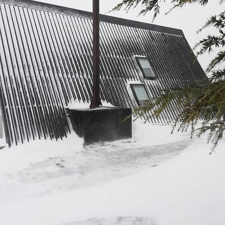 Chalé Acolhedor - Penhas da Saúde - Serra da Estrela Covilhã Exterior foto